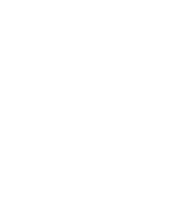 IL BERE IN FORMA DI VINO
